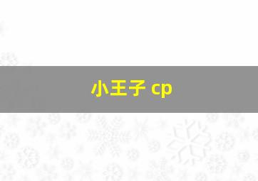 小王子 cp